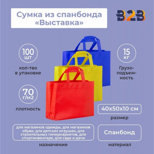 Сумка из спанбонда «Выставка» 40x50х10