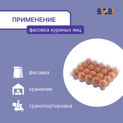 Упаковка для куриных яиц, 20 ячеек (пластик)