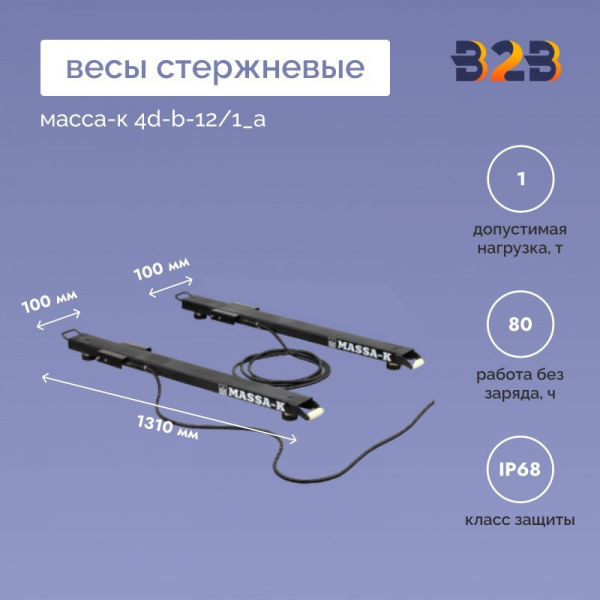 Весы стержневые МАССА-К 4D-B-12/1_А