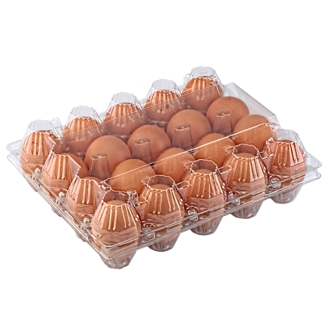 Упаковка для куриных яиц, 20 ячеек (пластик)